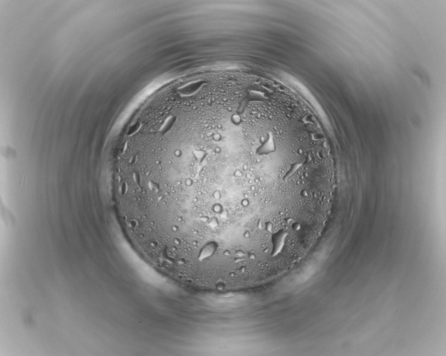 X0000091310851200708101502