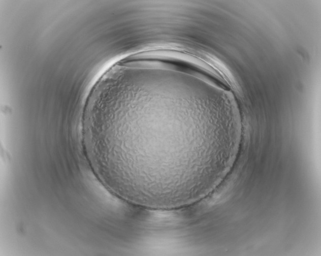 X0000091310852200708101502