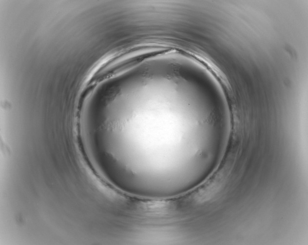 X0000091310853200708101502