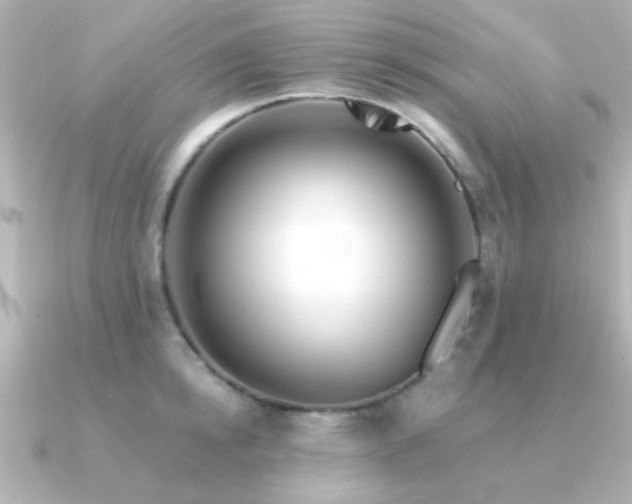 X0000091310854200708101502