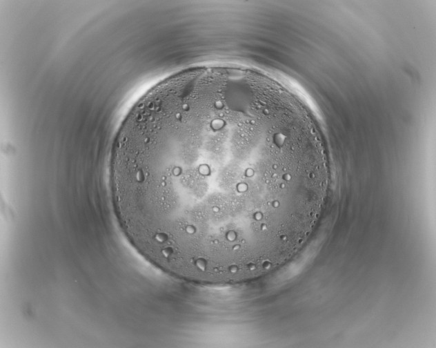 X0000091310855200708101502