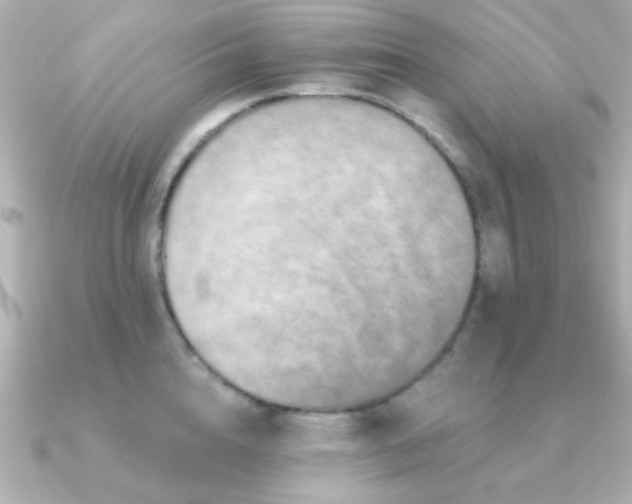 X0000091310856200708101502