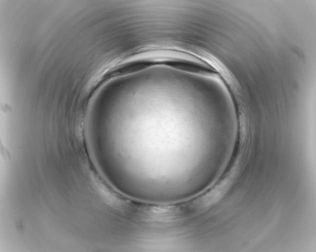 X0000091310857200708101502