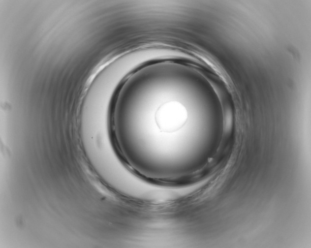 X0000091310858200708101502