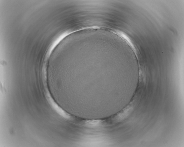 X0000091310859200708101502