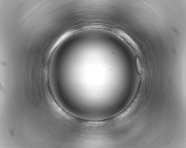 X0000091310860200708101502