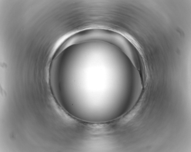 X0000091310862200708101502