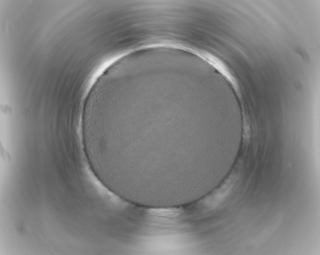 X0000091310863200708101502