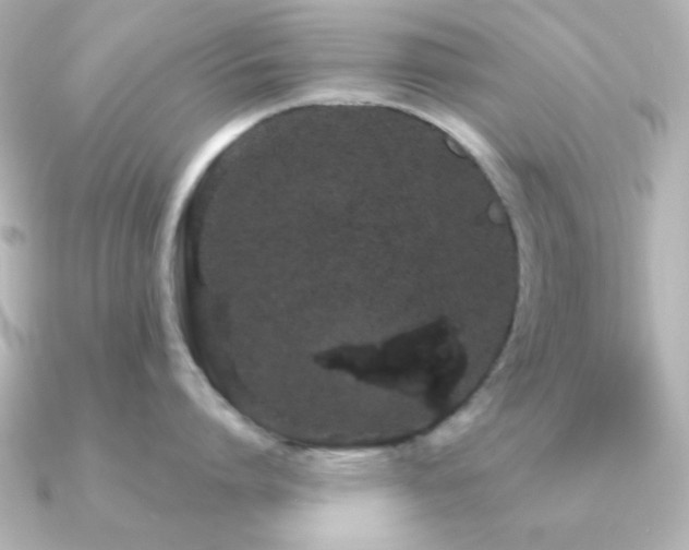 X0000091310864200708101502