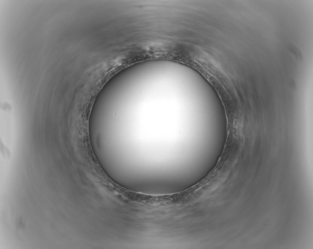 X0000091310865200708101502