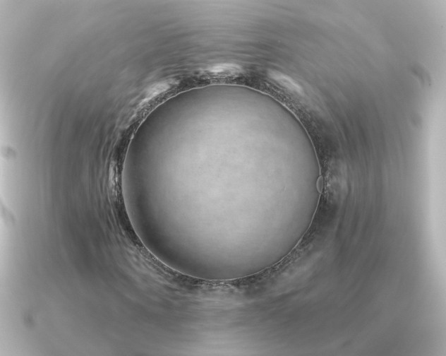 X0000091310866200708101502