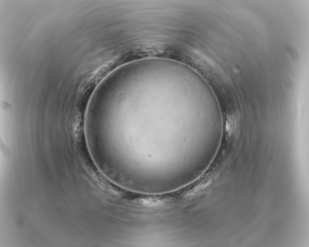 X0000091310867200708101501