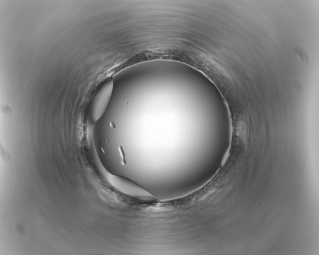 X0000091310868200708101501