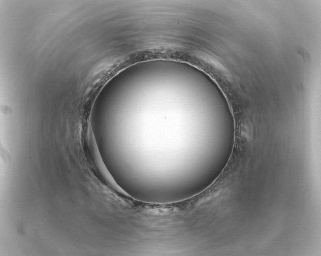 X0000091310869200708101501