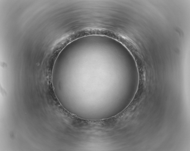 X0000091310870200708101501