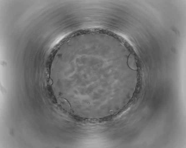 X0000091310871200708101501