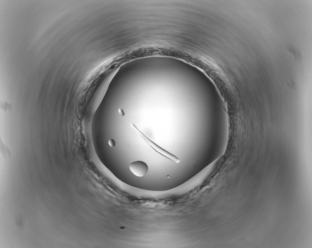 X0000091310872200708101501