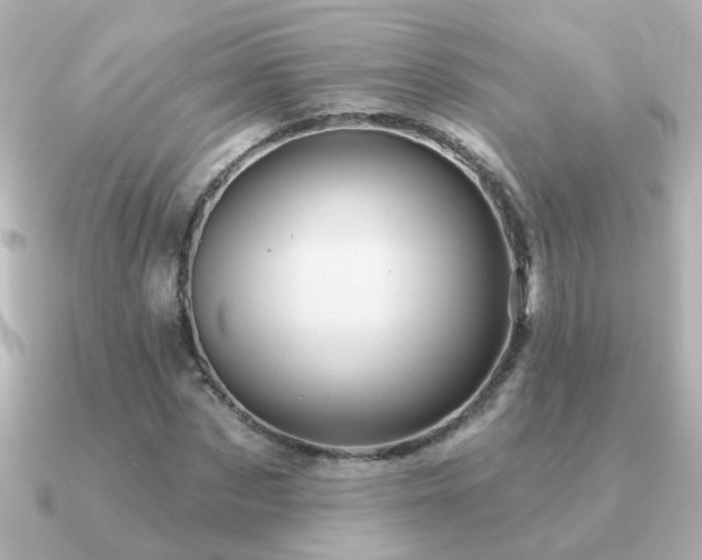 X0000091310873200708101501