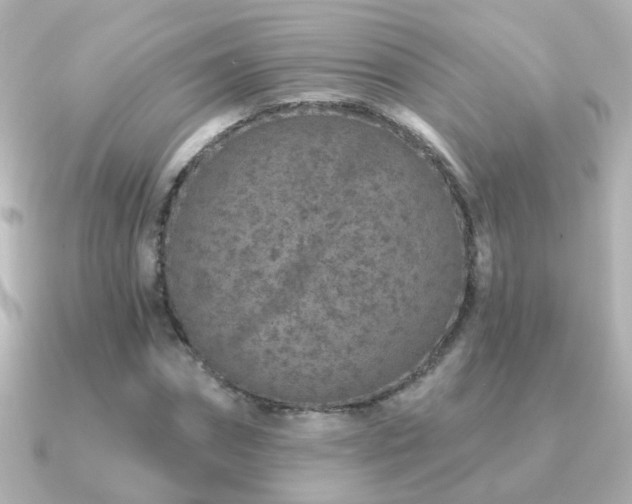 X0000091310874200708101501