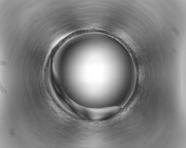 X0000091310876200708101501