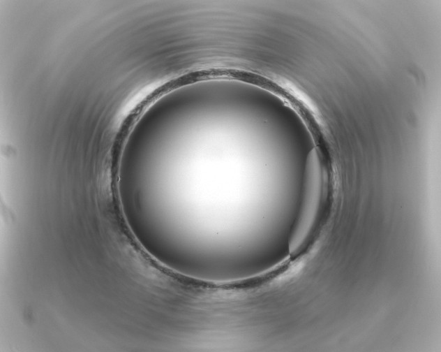 X0000091310877200708101501