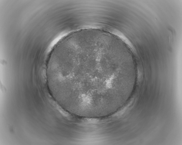 X0000091310878200708101501