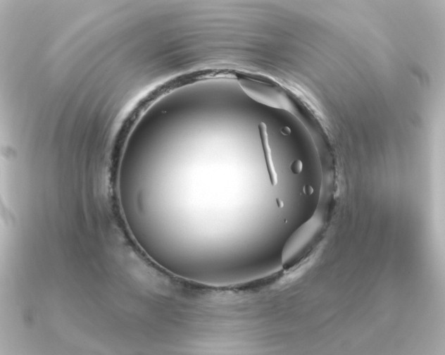 X0000091310880200708101501