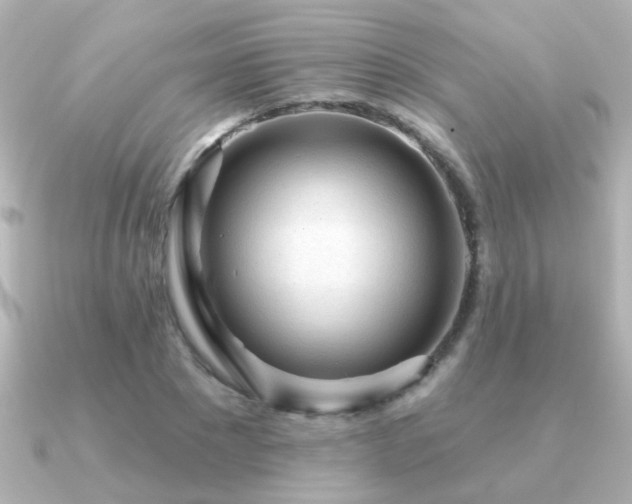 X0000091310881200708101501