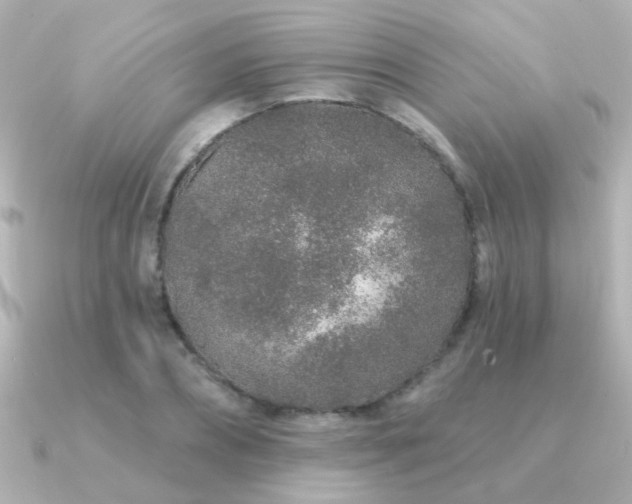 X0000091310882200708101501