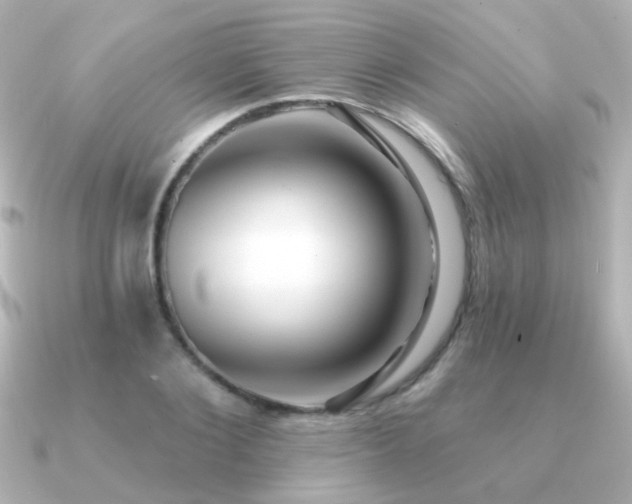 X0000091310884200708101501