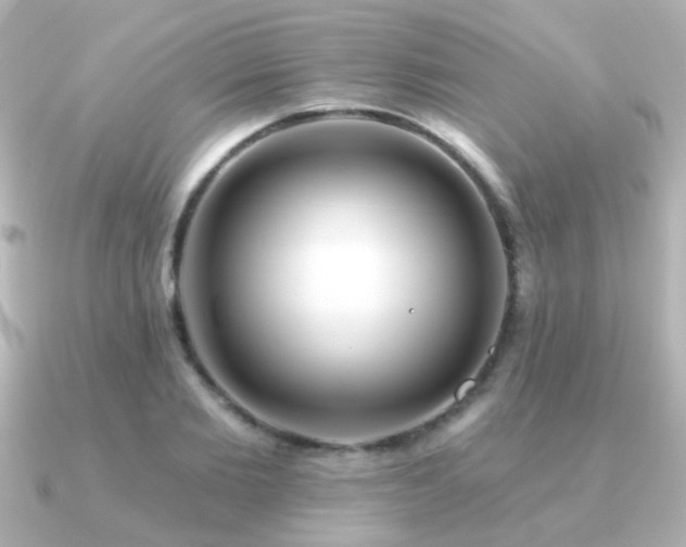 X0000091310885200708101501