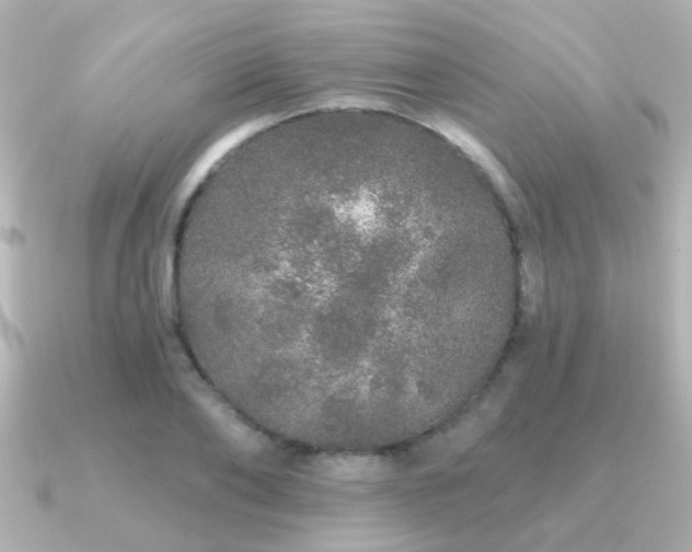 X0000091310886200708101501