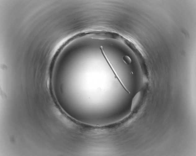 X0000091310888200708101501