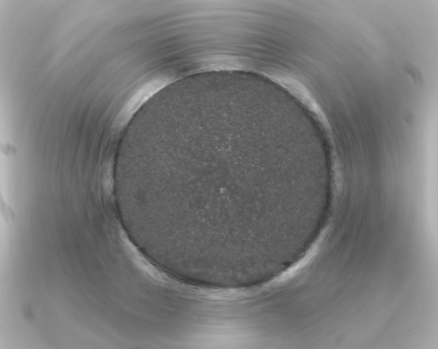 X0000091310889200708101501