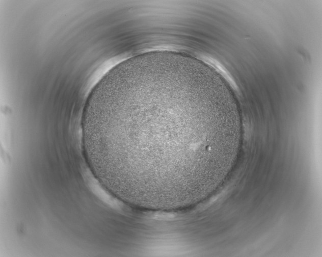 X0000091310890200708101501