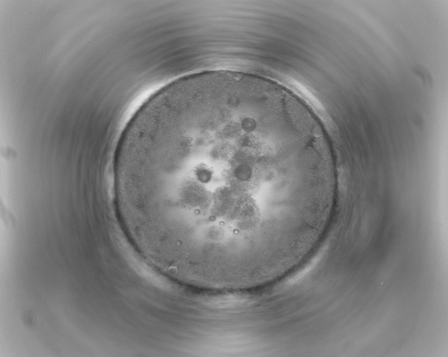 X0000091310891200708101501