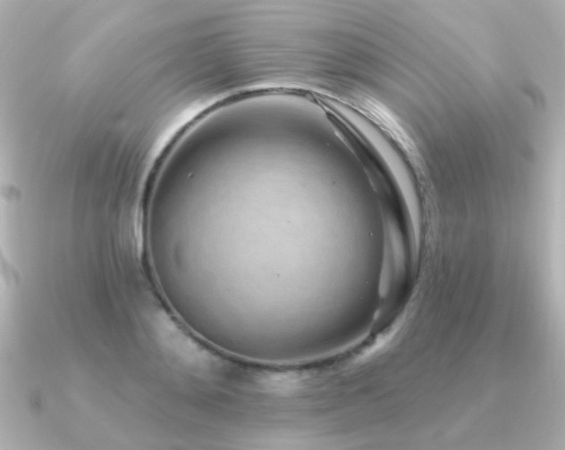 X0000091310892200708101501