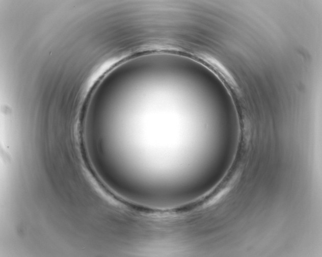 X0000091310893200708101501