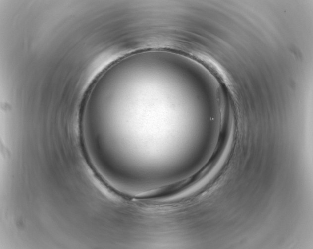 X0000091310894200708101501