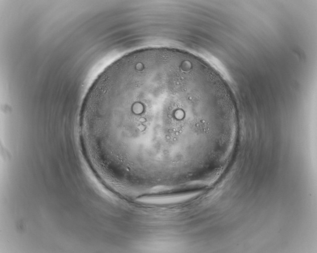 X0000091310895200708101501