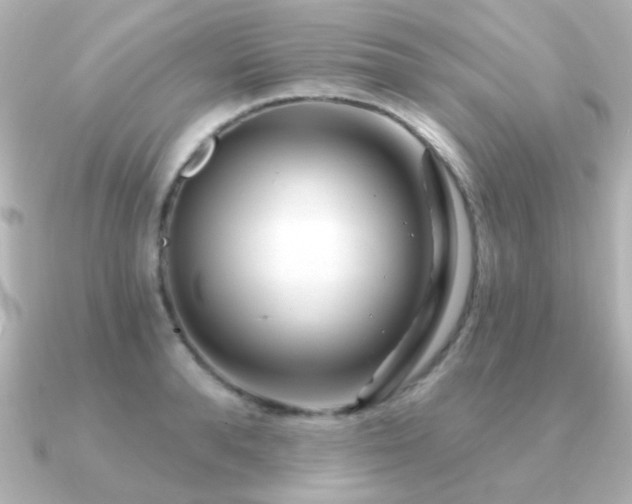 X0000091310896200708101501