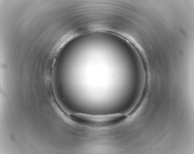 X0000091310897200708101501