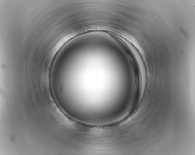 X0000091310898200708101501