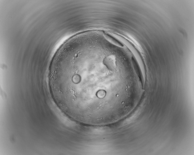 X0000091310899200708101501