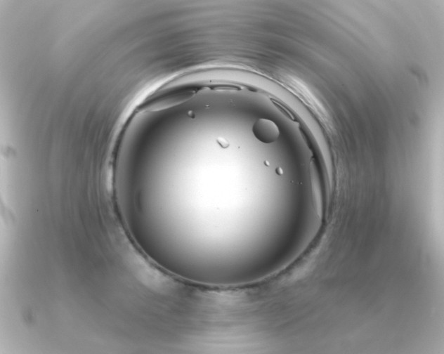 X0000091310900200708101501