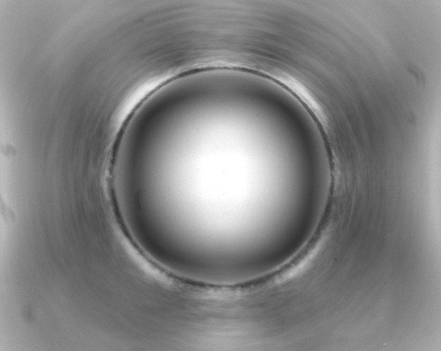 X0000091310901200708101501