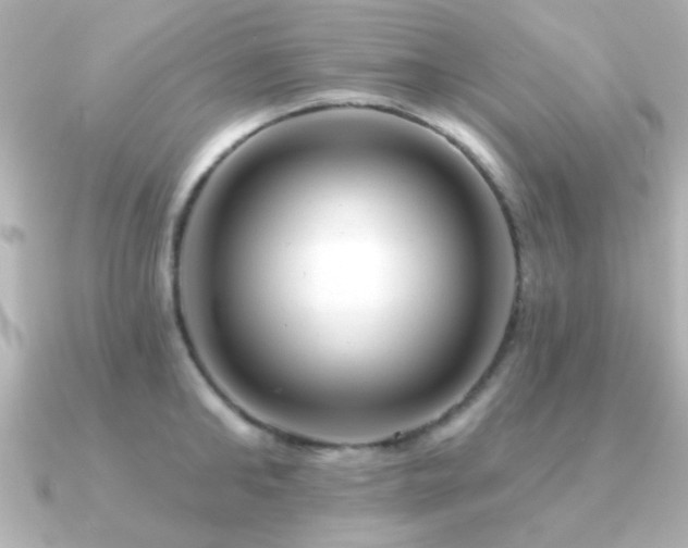 X0000091310902200708101501