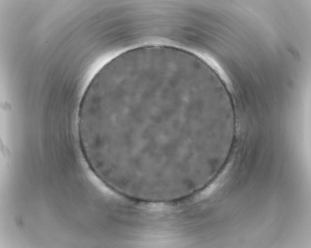 X0000091310903200708101501