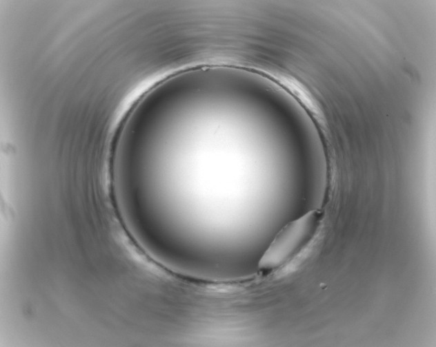 X0000091310904200708101501