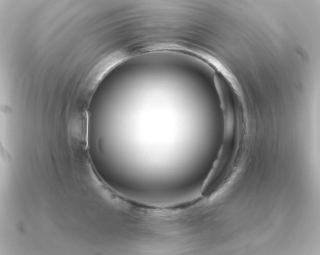 X0000091310905200708101501